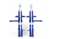 Стойки 2170 передней подвески газонаполненные ДЕМФИ (СЕРИЯ КОМФОРТ) (2шт)